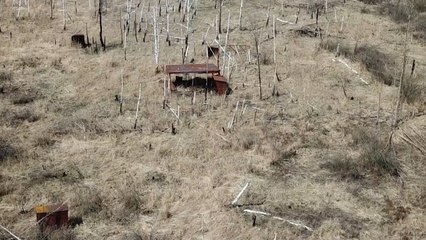 New Radiation Spots Found In Chernobyl's Red Forest
