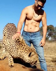 Ce guépard est majestueux. Regardez sa magnifique crinière !