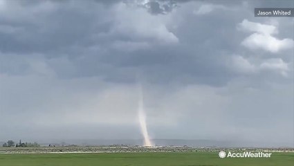 Thunderstorms cause landspout to form