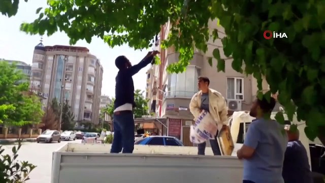 Kovanını Terk Eden Bal Arıları Mahalleyi İstila Etti