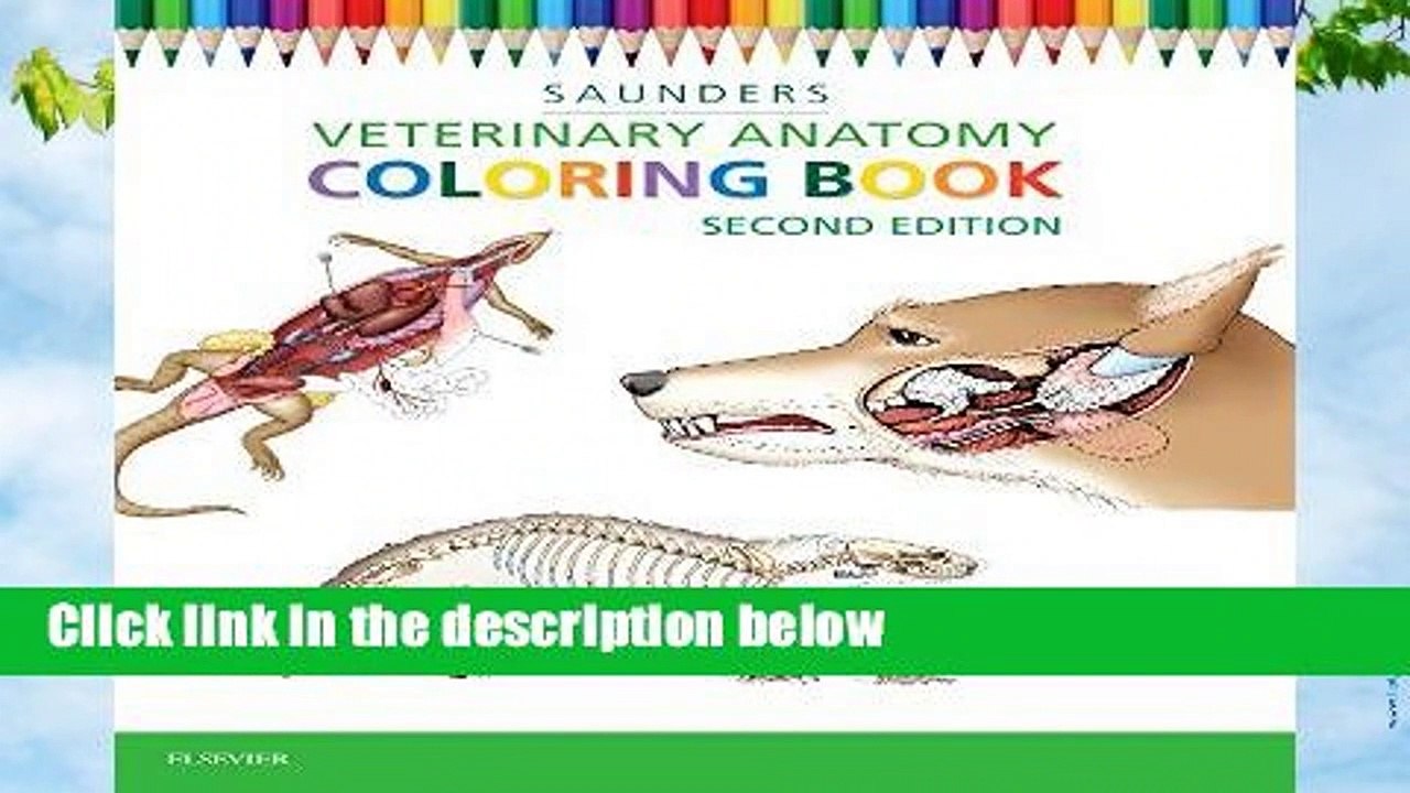 Veterinary Anatomy Coloring Book  For Kindle