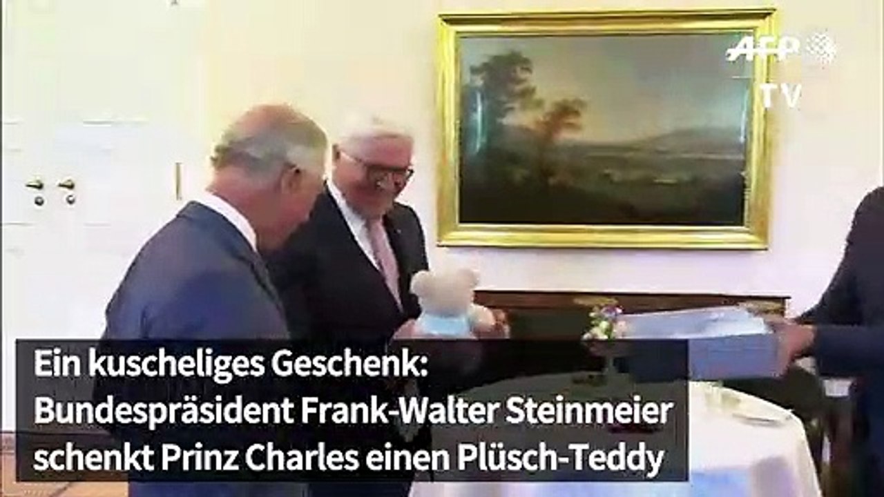 Steinmeier, Prinz Charles und der Teddybär