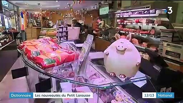 Langue française : près de 150 nouveaux mots font leur entrée dans le dictionnaire