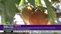 EEUU impone aranceles a exportadores mexicanos de tomate