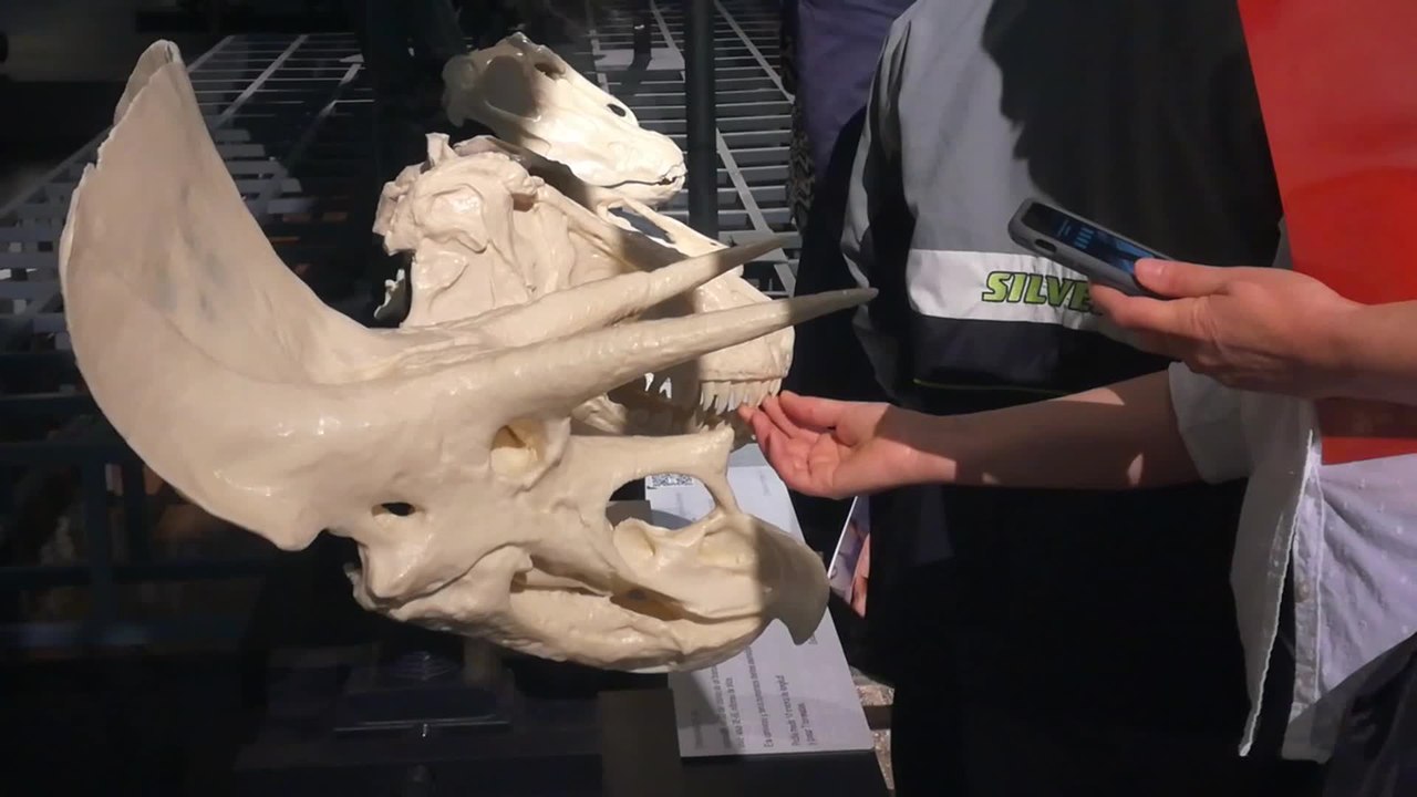 El MNCN se vuelve accesible para personas con discapacidad