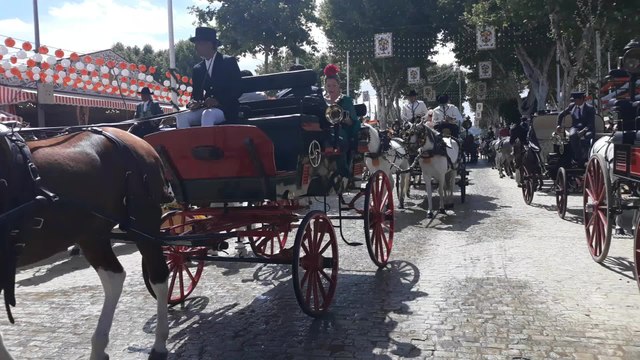 Paseo de caballos en la Feria de Abril