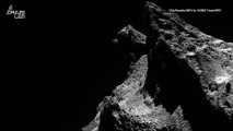 Can You Spot the Cat in This Image of a Comet?