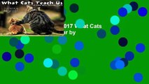 Trial New Releases  2017 What Cats Teach Us Box Calendar by