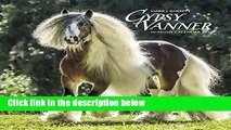 Any Format For Kindle  Gypsy Vanner Horse 2018 Calendar by