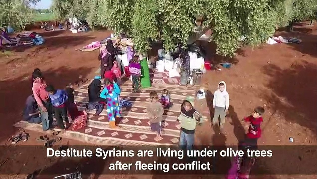 Syrians destitute under olive trees after days of bombing