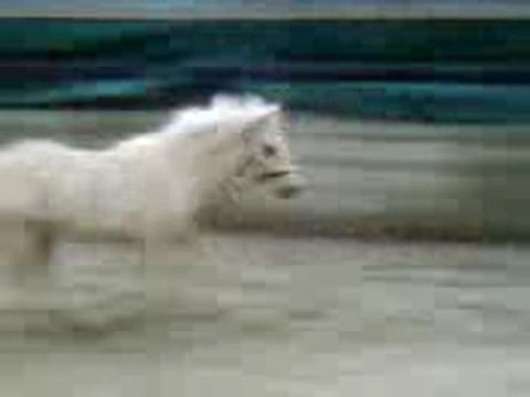 Mon tiit gamin ki se defoule !!! Lol