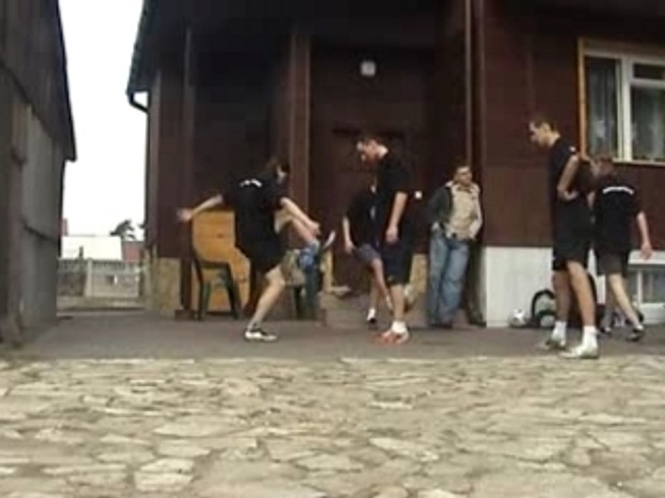 Polish FreeStylers