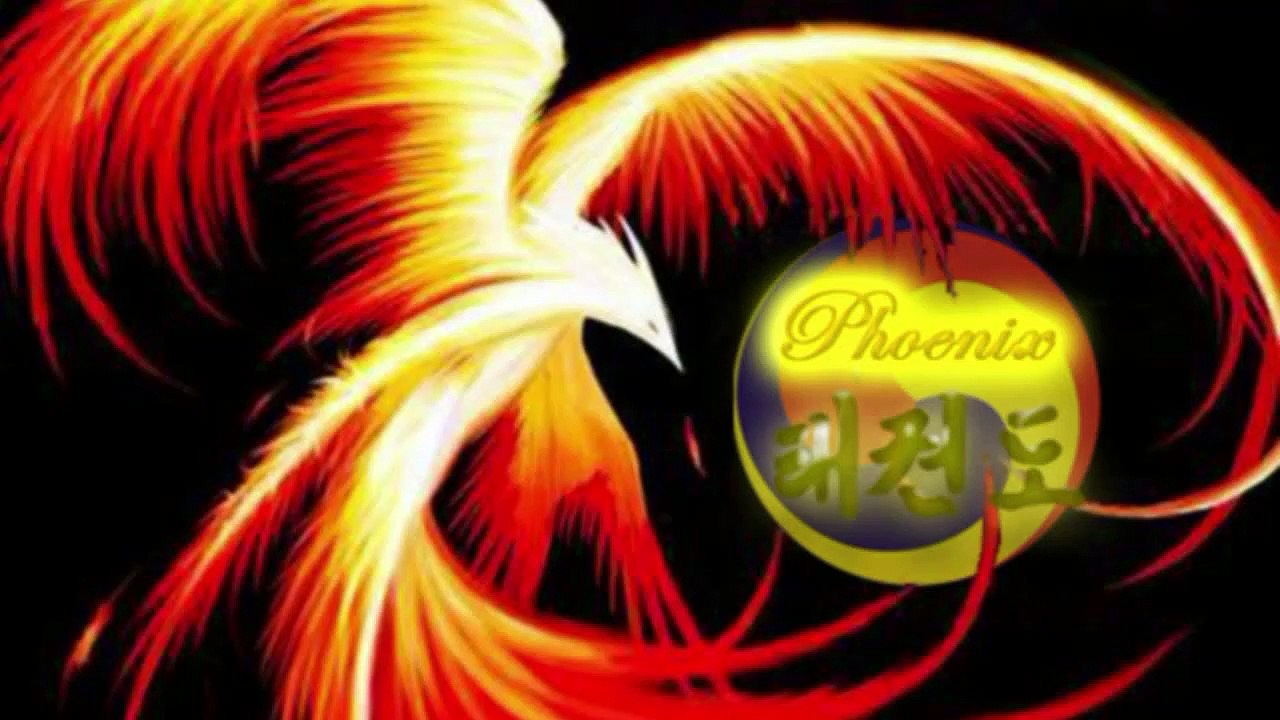 [tuto] Comment bien faire sa ceinture de Taekwondo