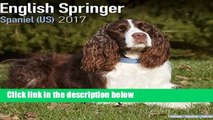 About For Books  Eng Springer Spaniel (US) Calendar 2017  Best Sellers Rank : #1