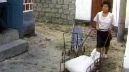 北 최악 식량난...기상악화·대북제재 영향 / YTN