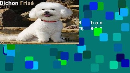 About For Books  Bichon Frise (Square) Complete