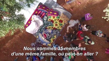 En Syrie, les oliveraies comme refuge pour les déplacés d'Idleb
