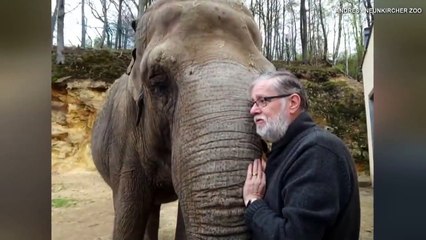 رد فعل مؤثر لفيل يلتقي بمدربه بعد 35 عاماً من الغياب