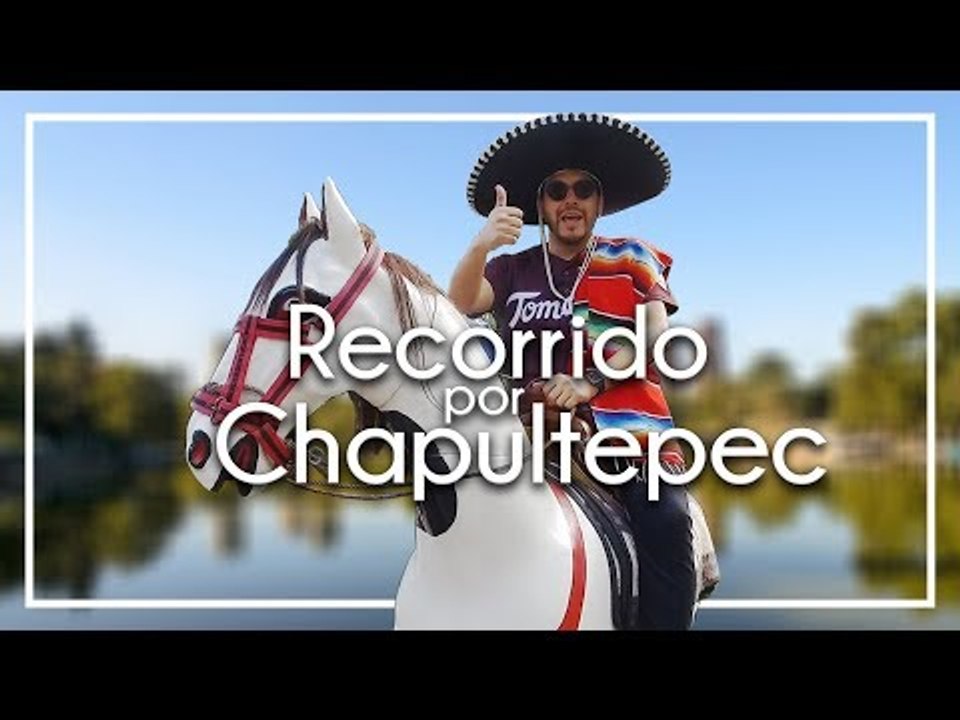 CARNE DE CABALLO ENCHILADA en Chapultepec