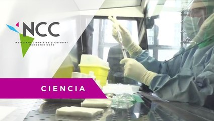 Los fagos, alternativa a los antibióticos