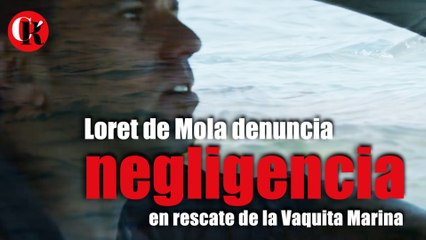 Loret de Mola denuncia negligencia en rescate de la Vaquita Marina
