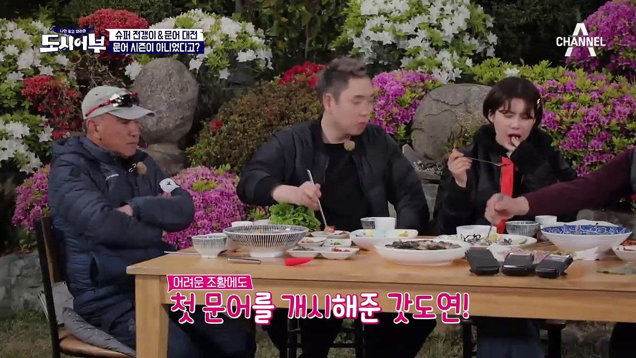 경규의 '슈퍼 전갱이'를 놓친 수능차석 PD에게 하사하는 문어 다리♥ (미운놈에게 떡 하나 더주기)