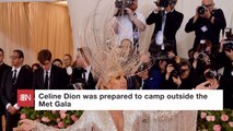Celine Dion Was Confused By The Met Gala Theme