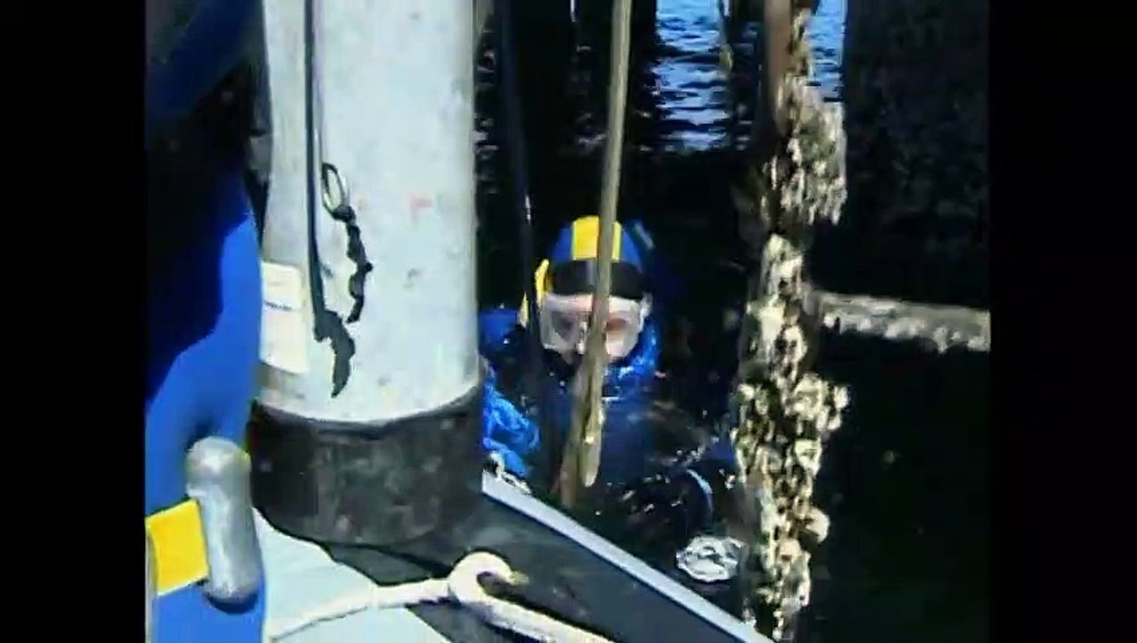 Under Arrest S05 E08  "I.Q. Test"