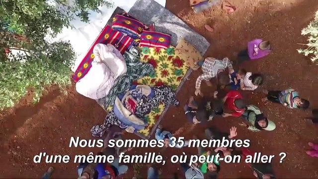 En Syrie, les oliveraies comme refuge pour les déplacés d'Idleb