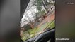 Homes left damaged after severe storm in Longview, Texas