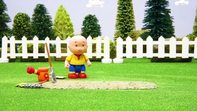 Kajtus po polsku nowe odcinki | Kajtus i Brudny Pokój | Nowy specjalny odcinek Kajtusia