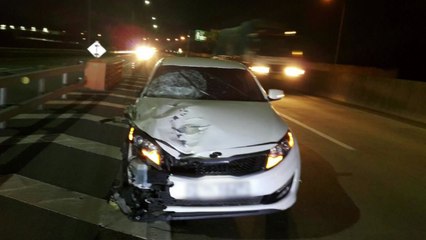 고속도로 낙하물 수습하다 사고...1명 사망 / YTN