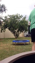 Mini Trampoline Slick Tricks