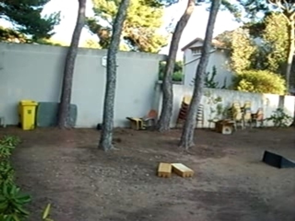 Quelque saut de ma voiture