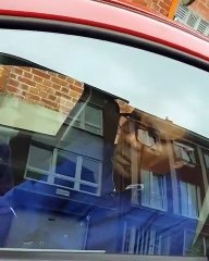 COMPILATION de vidéos drôles @BorisBaker -- Il aborde des inconnu(e)s dans la rue 1ère PARTIE