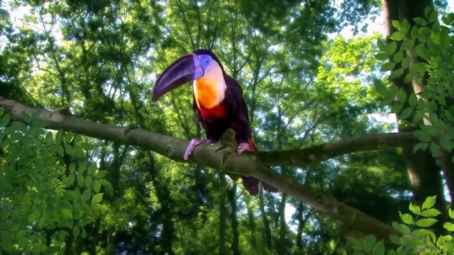 In the Night Garden 411 - Windy Day in the Garden | Videos For Kids