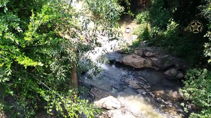 BANGALORE - MYSORE - WAYANAD - OOTY - ROAD TRIP