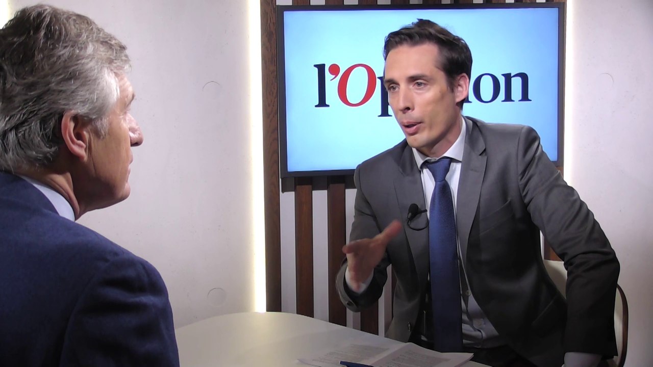 Européennes: «Le Pen et Mélenchon n’ont pas cicatrisé leur défaite de 2017 !», juge Jean-Baptiste Djebbari (LREM)