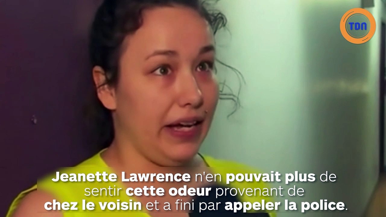 Plus de 300 chats vivaient dans un petit appartement ! Ils ont tous été sauvés par un refuge !