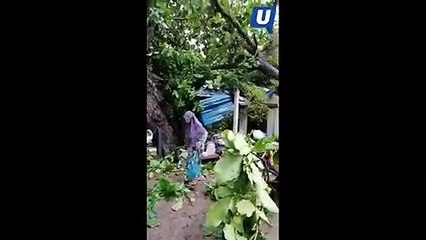 WhatsApp Video 2019-05-09 at 3.16.34 PM