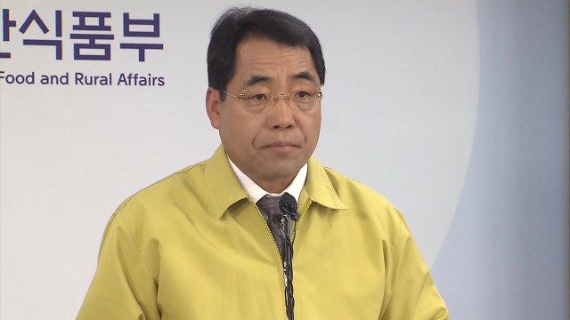 다음달 부터 축산물가공품 불법 반입 최대 천만원 과태료 / YTN