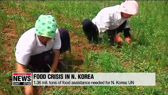 S. Korea's potential food aid to the North not likely to bring breakthrough in stalled denuclearization talks: expert