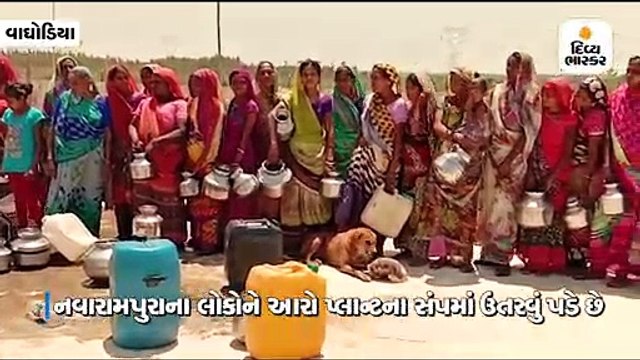 આજવા ડેમના આરો પ્લાન્ટના સંપમાં ઉતરી લોકો જીવના જોખમે પાણી ભરે છે