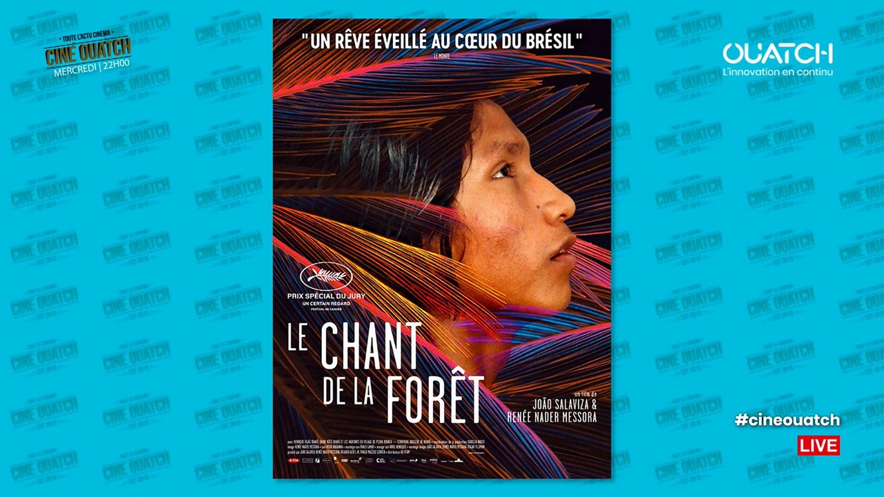 Ciné OUATCH S04E26 : Les crevettes pailletées, Détective Pikachu et Hellboy