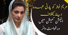 PTI challenges Maryam Nawaz’s appointment as PML-N vice president