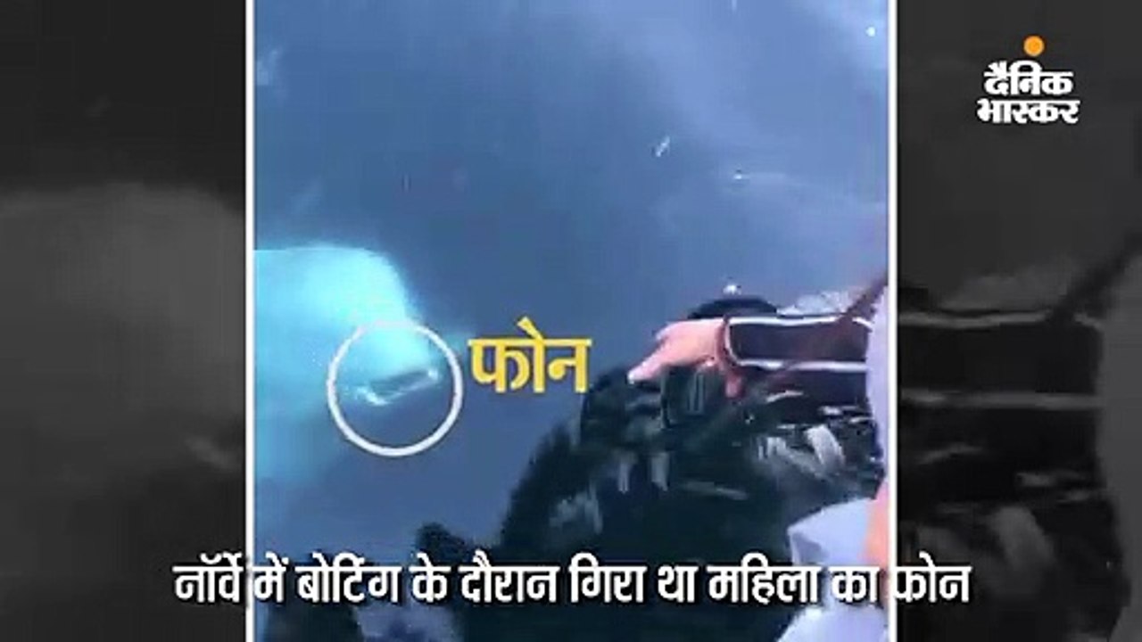जिस व्हेल को जासूस समझा गया, उसने महिला का समुद्र में गिरा फोन लौटाया, वीडियो वायरल