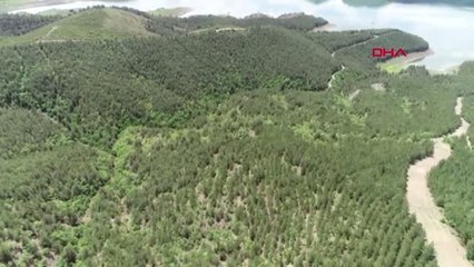 Samsun'da Kayıp Çocuk Aranıyor-4