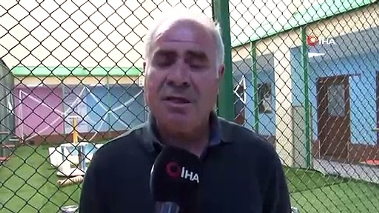 Kahverengi Van Kedisi İlgi Odağı Oldu