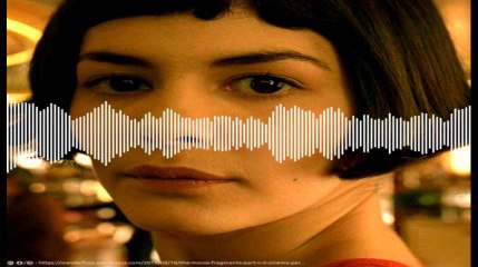 Minute Papillon! Flash info midi  - 9 mai 2019