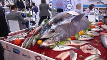 - SEAFOOD Fuarı'na Türk firmaları damga vurdu- Avrupa sofralarında bulunan 3 balıktan 1’i Türk balığı